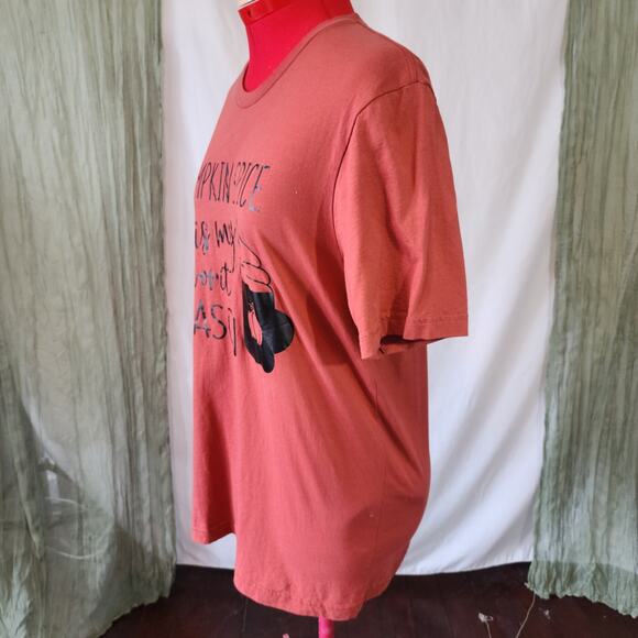 Canvas Burnt Orange Brown Short Sleeves Crew Neck Knit Shirt Fall Graphic Size L - Picture 3 of 6